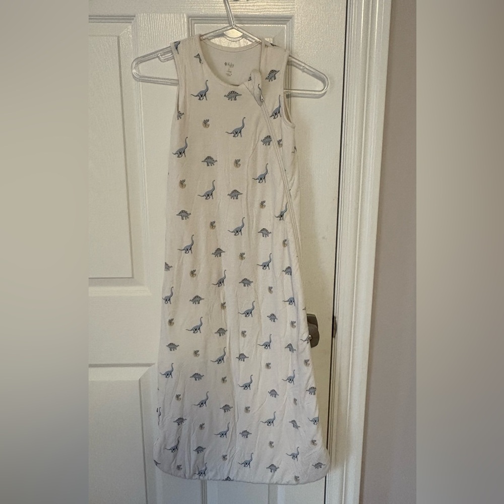 Kyte BABY Blue Dinosaur Print Kids Dress